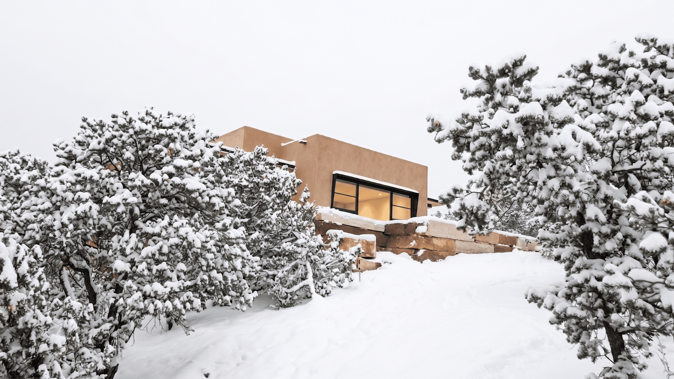 The house in heavy snow, seen through the pines.